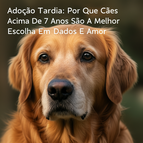 Adoção Tardia: Por Que Cães Acima De 7 Anos São A Melhor Escolha Baseada Em Dados E Amor
