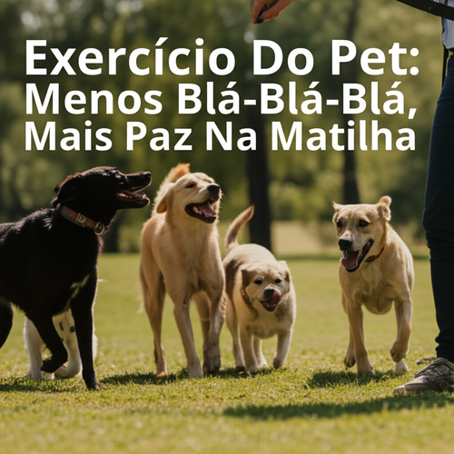 Exercício Do Pet: Menos Blá-Blá-Blá, Mais Paz Na Matilha