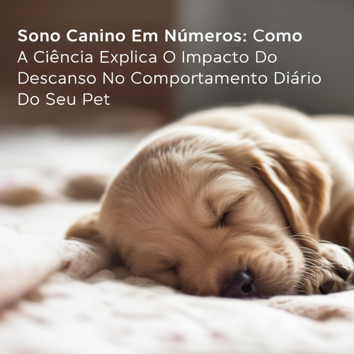 Sono Canino Em Números: Como A Ciência Explica O Impacto Do Descanso No Comportamento Diário Do Seu Pet